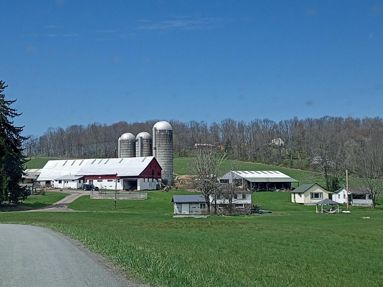 Agriculture is still prominent in the hills and deals of Wayne County. This is a view of Billy's New Hope Barn, 349 Schoolhouse Road in Cherry Ridge, near Lake Cadjaw. As explained on their Facebook page, Billy's New Hope Barn is dedicated to housing, protecting and giving compassionate care to abused, neglected or abandoned farm animals.