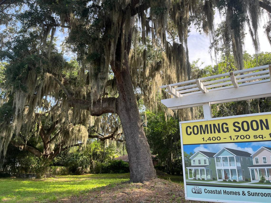 A housing developer’s plan to remove two large live oak trees on 12th street prompted a move to create a new tree protection ordinance in Port Royal.