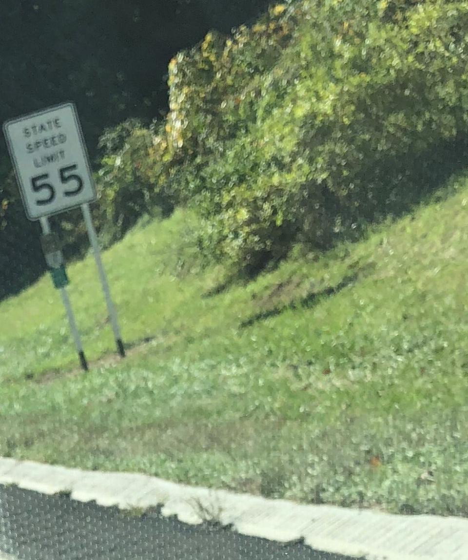 A new speed limit is seen on a sign on the Palisades Interstate Parkway southbound, south of the New York State Thruway.