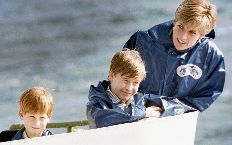 Diana was concerned that the gap between the heir and the spare would drive a wedge between her boys - Hans Dderyk/AP