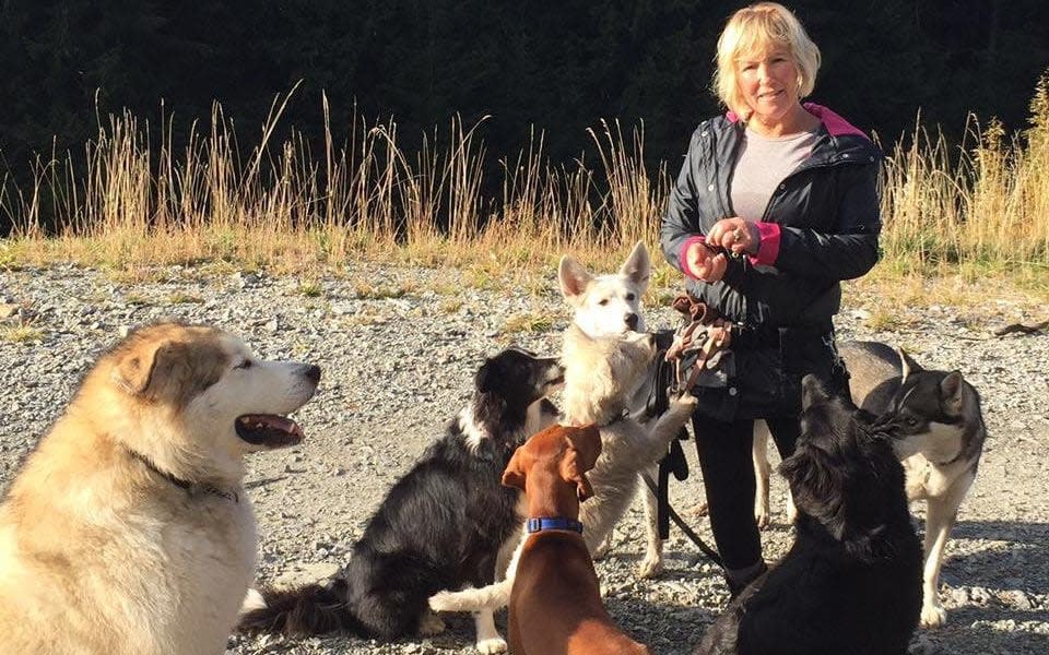 Canadian dog walker, Annette Poitras, could not have survived over two days in the wilderness without the help of her dogs - Coquitlam Search and Rescue