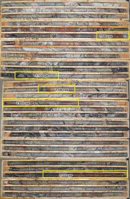 Figure 3: Elevated radioactivity from RK-24-193 with maximum values shown for mineralized veins outlined in yellow. Replacement style mineralization is similar to the discovery hole, RK-24-183, with a notable upgrade of alteration intensity that included m-scale dravitic breccia. (CNW Group/NexGen Energy Ltd.)