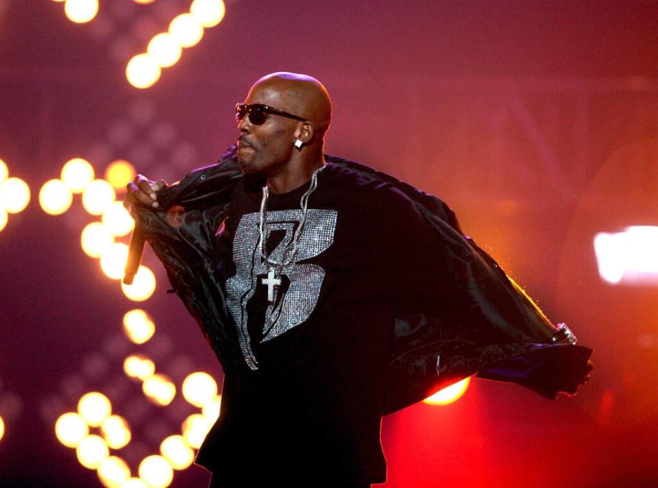 DMX, Life in Pictures, 2011