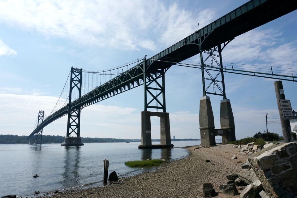 A pod of common dolphins was seen feeding just north of the Mount Hope Bridge, which is seen here from the Bristol shore.