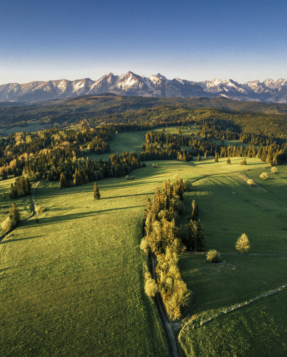 Forest and mountain scenery.