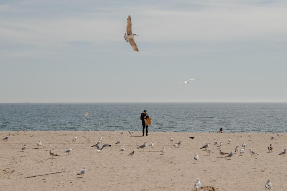 A person walks among seagulls in Brighton Beach.