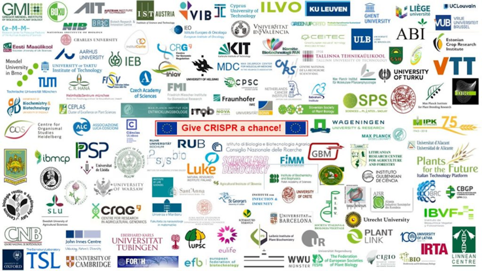 Logos de las 120 instituciones europeas que se unieron para protestar ante la Comisión Europea y pedir que los organismos editados genéticamente (p.e. con CRISPR) dejaran de estar regulados como OMG por la Directiva 2001/18, <a href="https://www.cragenomica.es/crag-news/european-scientists-call-review-european-union-legislation-genome-edited-crops" rel="nofollow noopener" target="_blank" data-ylk="slk:CRAG;elm:context_link;itc:0;sec:content-canvas" class="link ">CRAG</a>, Author provided
