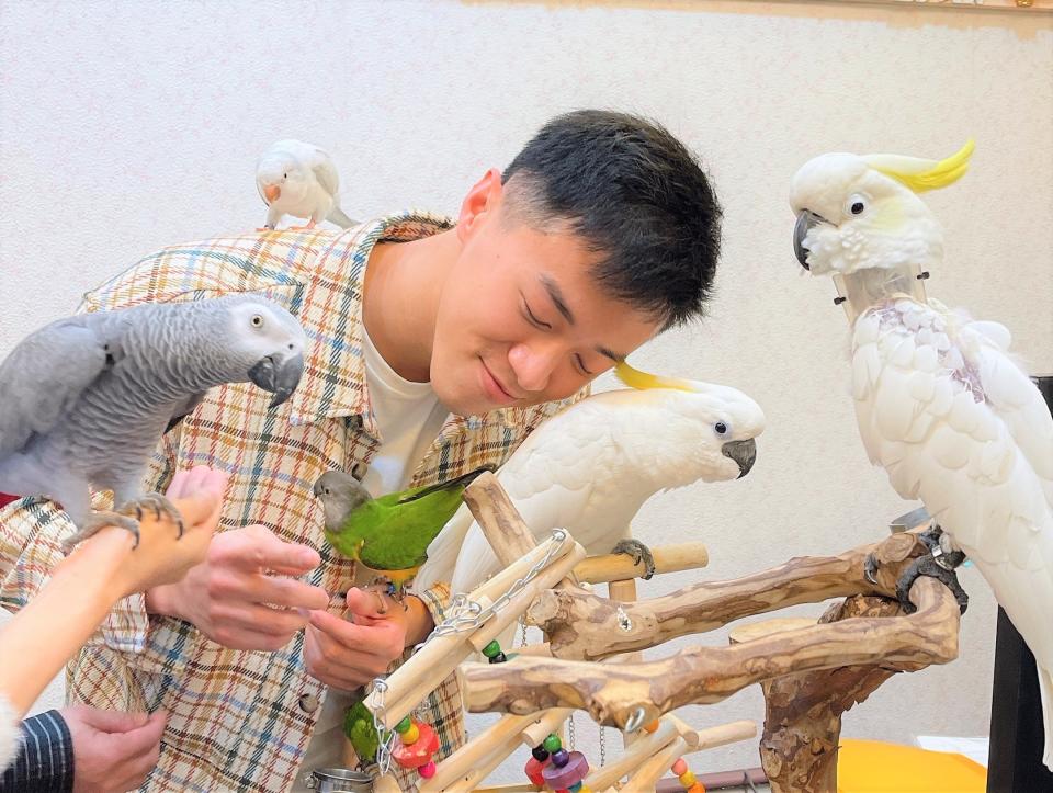 游書庭不忍心寵物鳥遭受到人類的殘害。（圖／艾迪昇傳播提供）