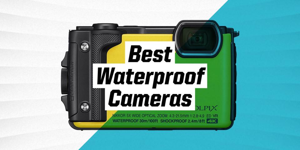 The 9 Best Waterproof Cameras for Taking Underwater Photos