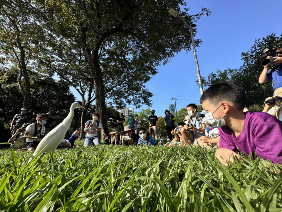 春日不妨帶著孩子至大安森林公園觀察自然生態。（攝影／黃一峯）