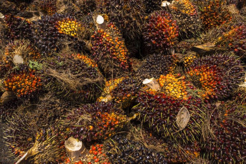 Kok said that palm oil is currently Malaysia’s third-highest product in terms of export value. — Picture by Mukhriz Hazim