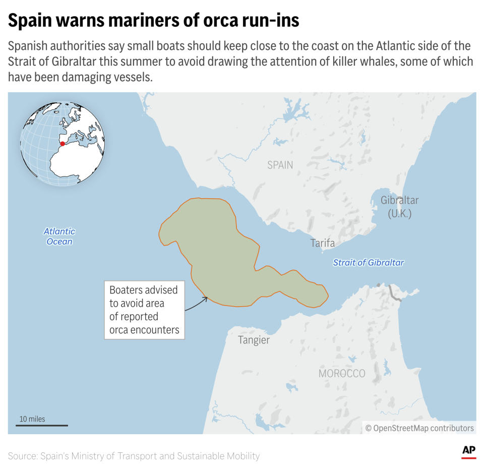 Recent episodes of orcas damaging boats near the Strait of Gibraltar have prompted Spanish authorities to recommend that small vessels stick to coastal areas where encounters are less likely. (AP Graphic)