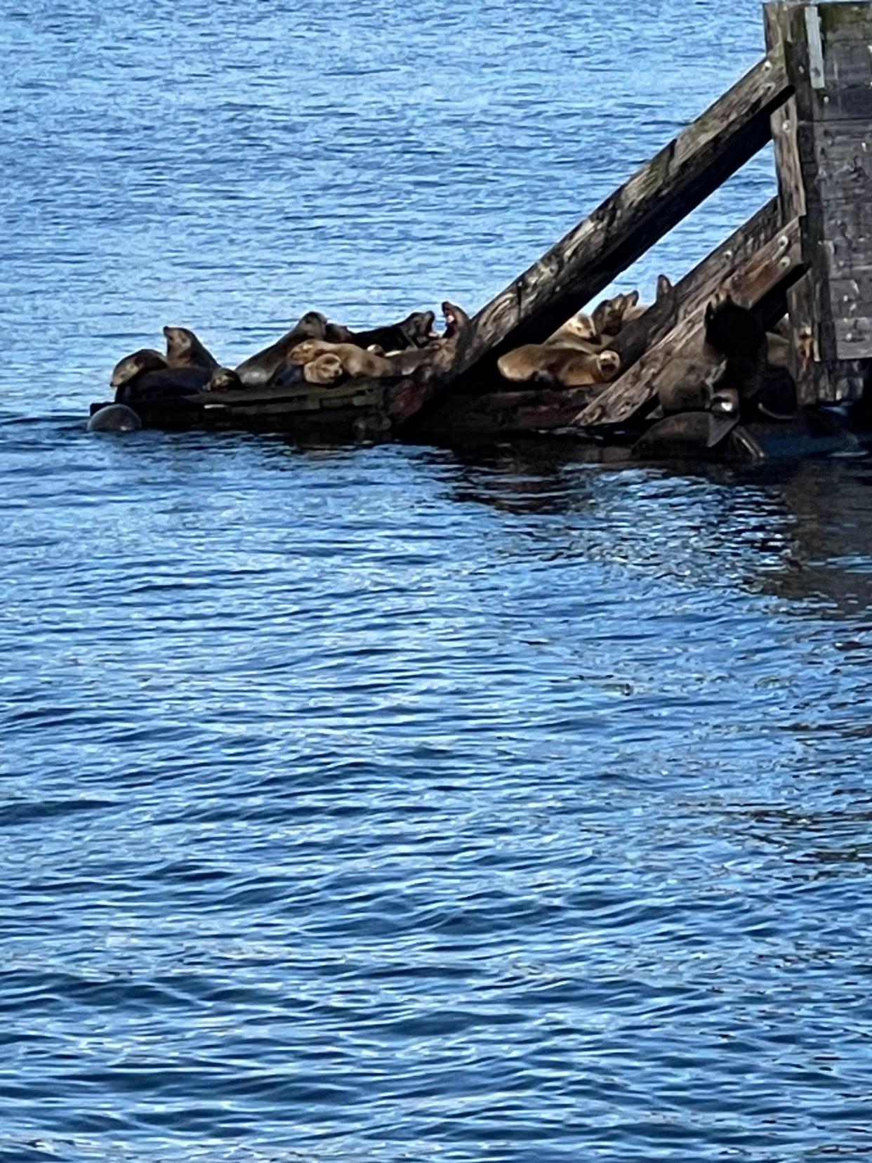 Porteau Cove Provincial Park