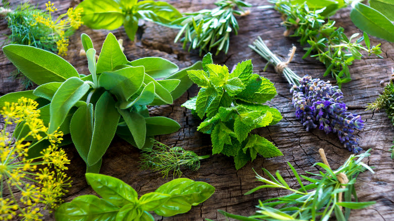 fresh herbs on wooden surface