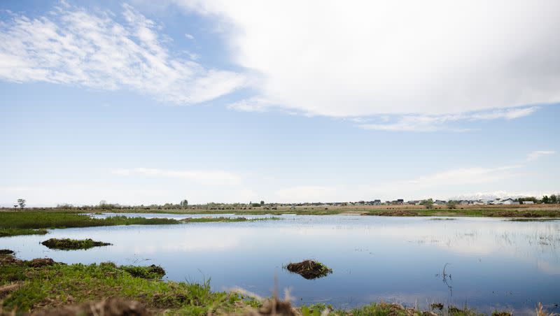 New wetlands are seen following the completion of the Freeport Drain project at the Great Salt Lake Shorelands Preserve in Layton on Wednesday, May 17, 2023.