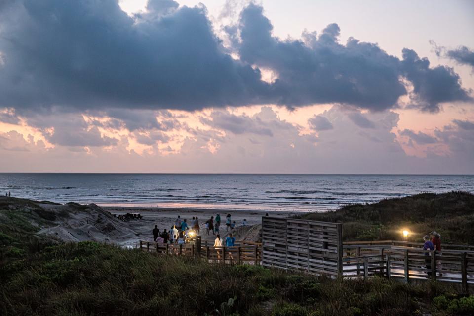 An early morning crowd works its way down to the beach in front of Malaquite Visitor Center at Padre Island National Seashore for a public release of Kemp's ridley sea turtles June 28, 2024, in Corpus Christi, Texas. Hundreds of people from as far as Minnesota attended the release.