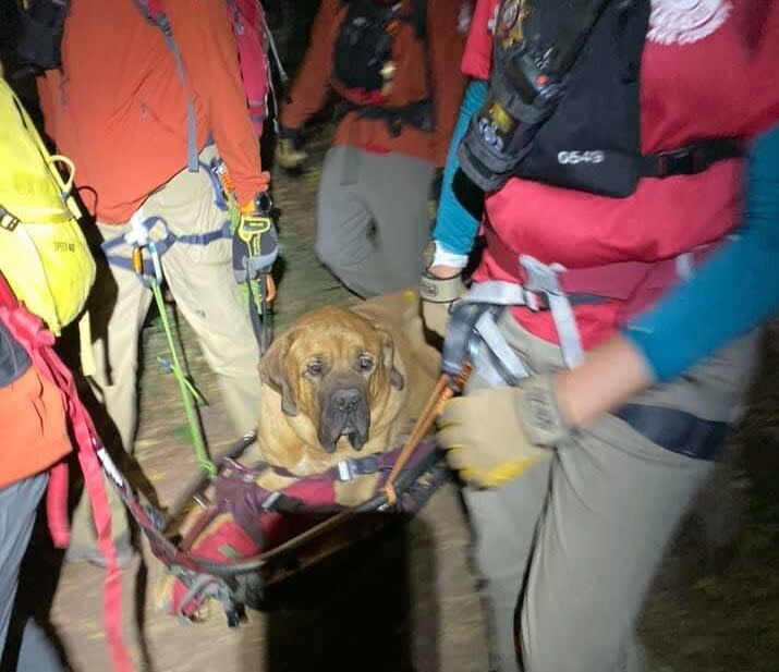 Floyd took to being rescued quite well. (Photo: Shawn Kenney/Salt Lake County Sheriff's Search and Rescue)