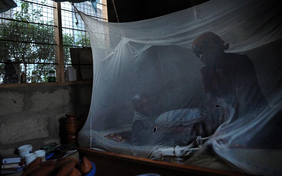 Bed nets, pictured here in Tanzania, work but to really make progress against malaria, a vaccine is priority number one, said the WHO's Dr Pedro Alonso -  TONY KARUMBA/AFP