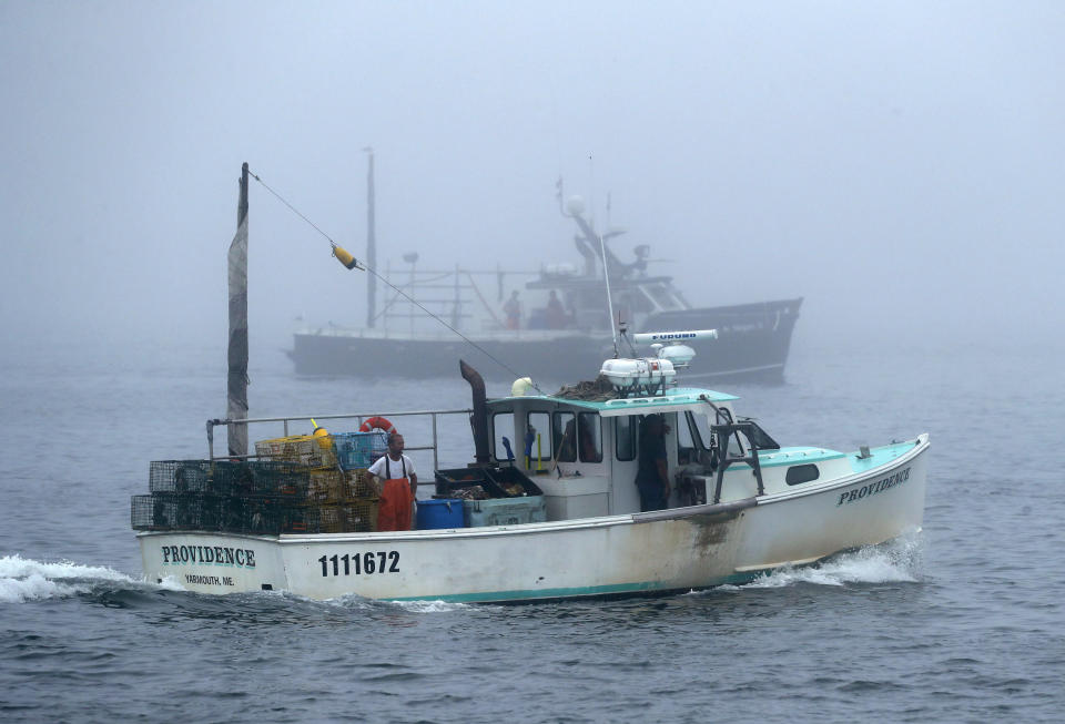 In this Wednesday, July 25, 2018 photo, lobster fishing boats head out to sea on a foggy morning off South Portland, Maine. The impacts of China's seafood tariffs are being felt in Maine, where lobster prices are falling. (AP Photo/Robert F. Bukaty)