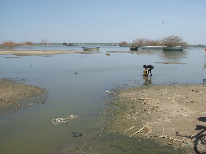 查德湖 (Photo by , License: CC BY-SA 4.0, Wikimedia Commons提供)