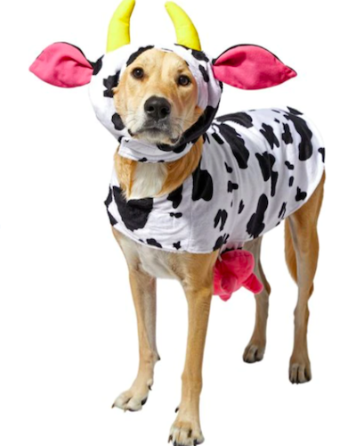 Frisco Happy Cow Pet Halloween Costume