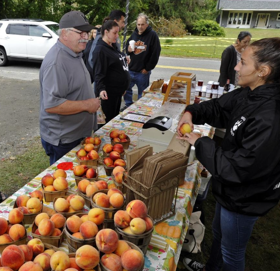 Lauren Mitcheson prepares a bag of peaches from the Flying Cloud Orchard for a customer during the Apple-Peach Festival in Acushnet in 2019. The last two festivals have been canceled due to COVID-19 safety concerns.