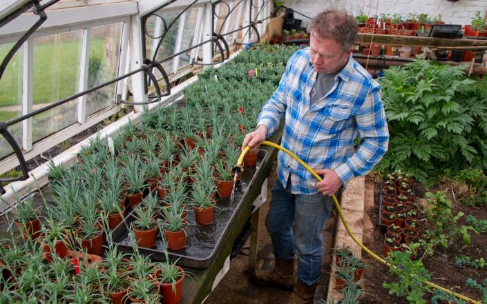 expert tips watering garden hot weather uk heatwave july 2022 how to water plants properly when best time - &nbsp;Christopher Jones