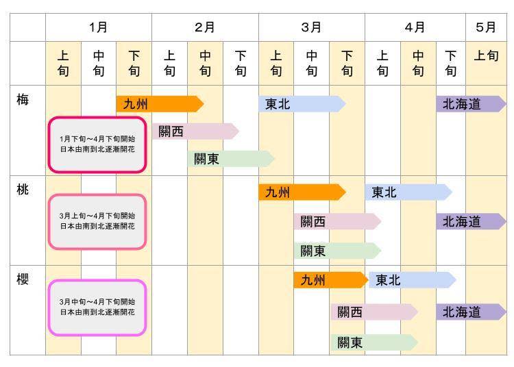 往年日本各地的開花時期