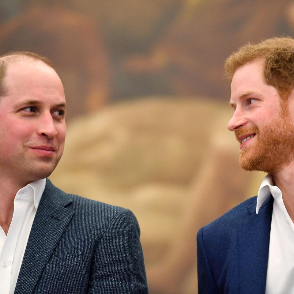 Prince William, Prince Harry