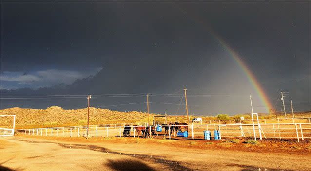 The Stardust Ranch comes with many 'bonus' features. Picture: John Edmonds