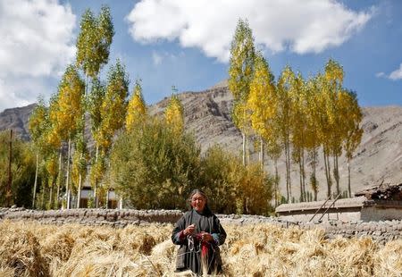 Tashi Phutit, 81, a wheat farmer and housewife poses for a photograph in the village of Stok, 15 km from Leh, the largest town in the region of Ladakh, nestled high in the Indian Himalayas, India September 27, 2016. When asked how living in the world's fastest growing major economy had affected her life, Phutit replied: "Now we can eat better types of vegetables and we can wear better types of clothes. The problem is people are becoming greedy." REUTERS/Cathal McNaughton