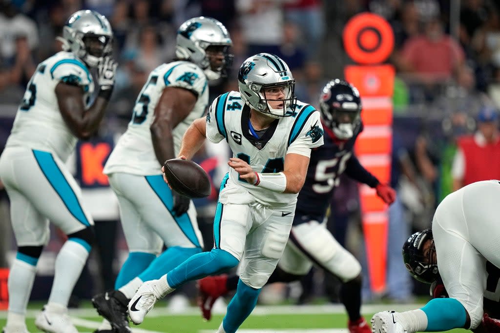 PANTHERS-TEXANS (AP)