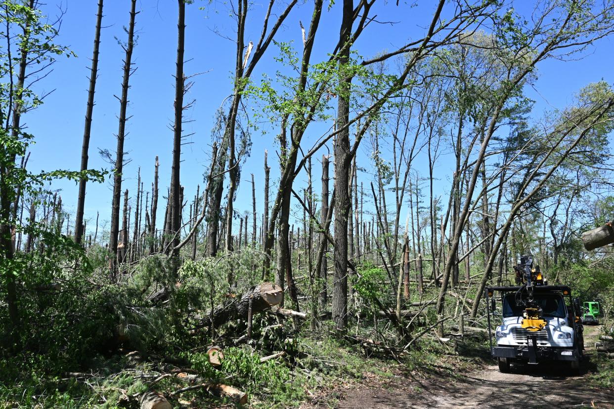 Trees around Blossom Lake were ripped apart by the EF-2 tornado.