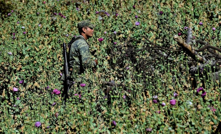 As Mexico marks 10 years since the government deployed troops to crack down on drug cartels, the army faces an uphill battle in its four-decade-old struggle to eradicate a growing opium poppy production