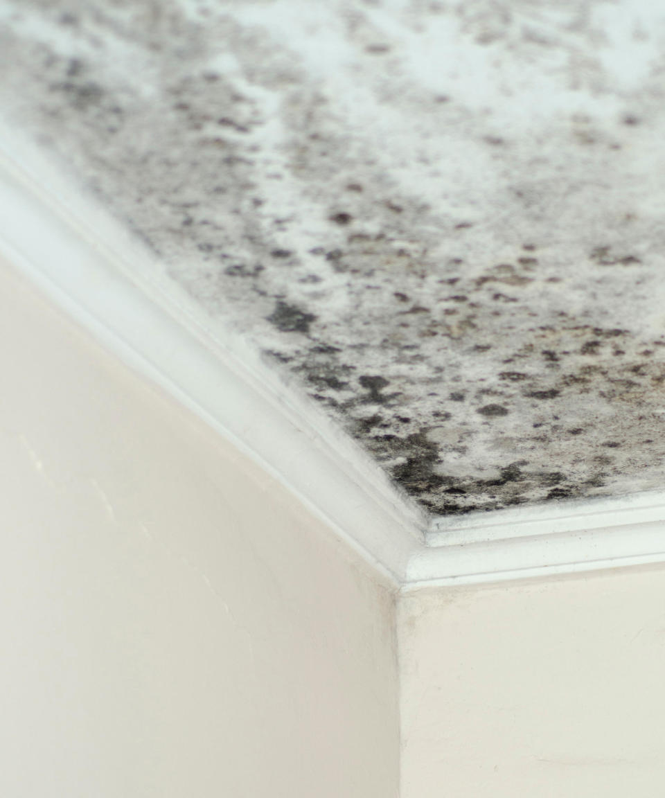 black ceiling mold