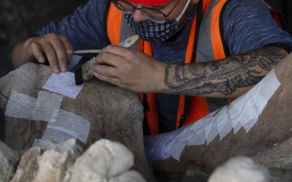 A paleontologist works to preserve the skeleton of a mammoth that was discovered at the construction site of Mexico City’s new airport in the Santa Lucia military base, Mexico, Thursday, Sept. 3, 2020. The paleontologists are busy digging up and preserving the skeletons of mammoths, camels, horses, and bison as machinery and workers are busy with the construction of the Felipe Angeles International Airport by order of President Andres Manuel Lopez Obrador. (AP Photo/Marco Ugarte)