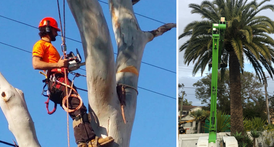 A tree on the right has a felling machine attached to it, and another tree can be seen attached to the left next to a maintenance vehicle. 