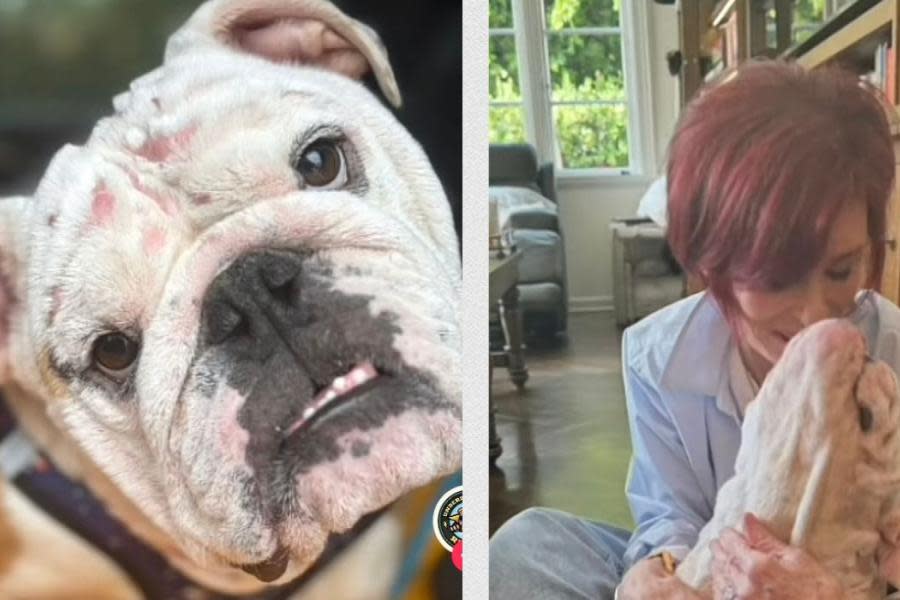 Ozzy Osbourne adopta a Walter, perrito rescatado tras sufrir graves quemaduras 