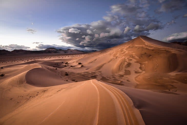 End of Dunes-Day: Death Valley National Park.