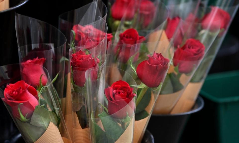 Red roses on Valentine’s Day