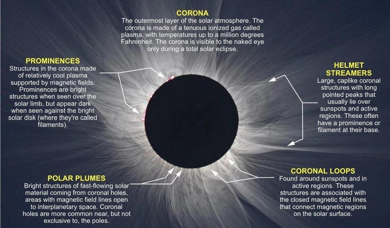 A highly processed NASA composite image showing some of the features of the Sun’s corona. - Image: S. Habbel, M. Druckmuller, P. Aniol/NASA