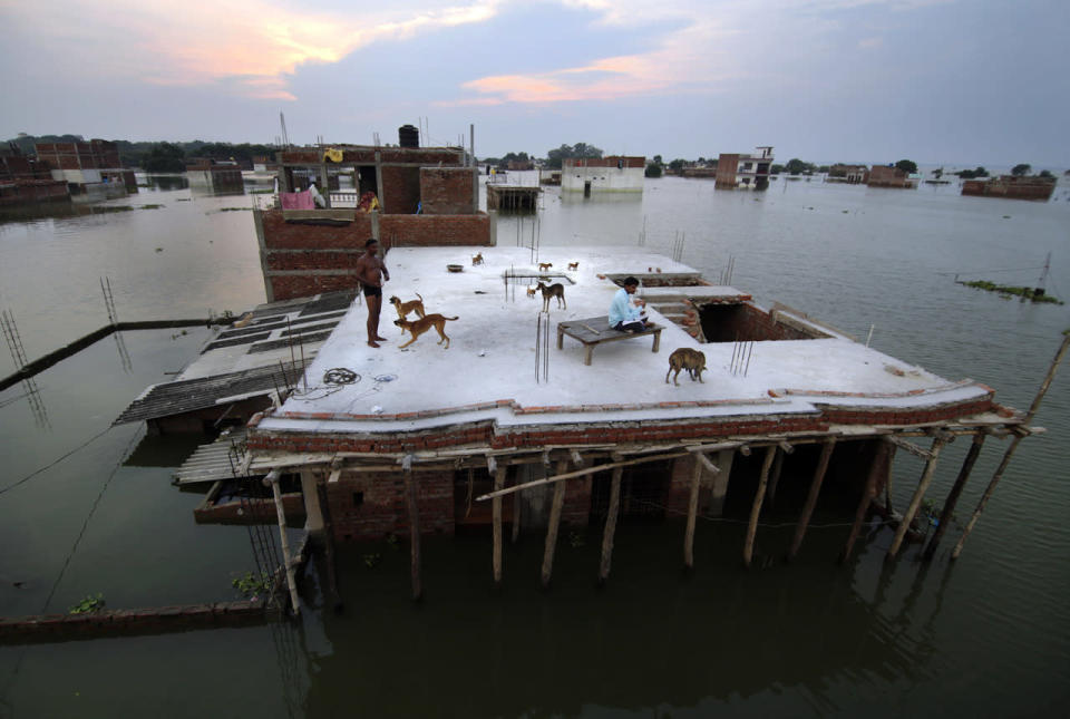 <p>A flood affected person, left, who rescued four dogs and their four puppies plays on the roof of their under constructed submerged house in Allahabad, India, Aug. 25, 2016. Heavy monsoon rains have ended two successive drought years in India with the Ganges River and its tributaries rising above the danger level, triggering evacuation of hundreds of thousands of people from flooded homes in north and eastern India. (Photo: Rajesh Kumar Singh/AP)</p>