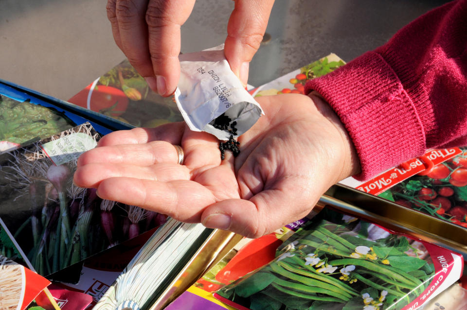 Sow those seeds you’ve been planning to start off (iStock/PA)