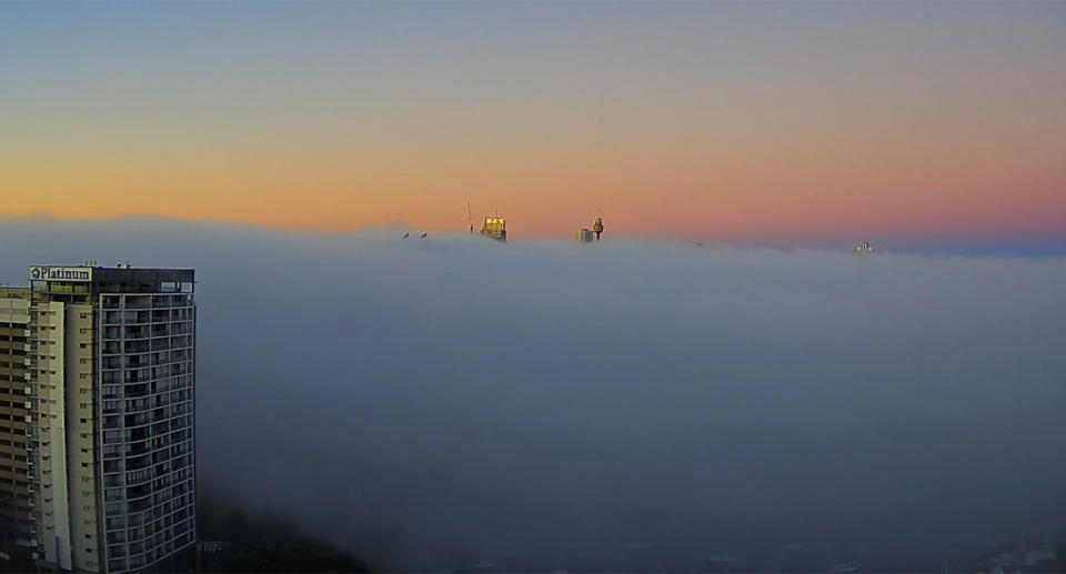 The view of Sydney Tower just before 7am. Source: 7News/Jason Morrison