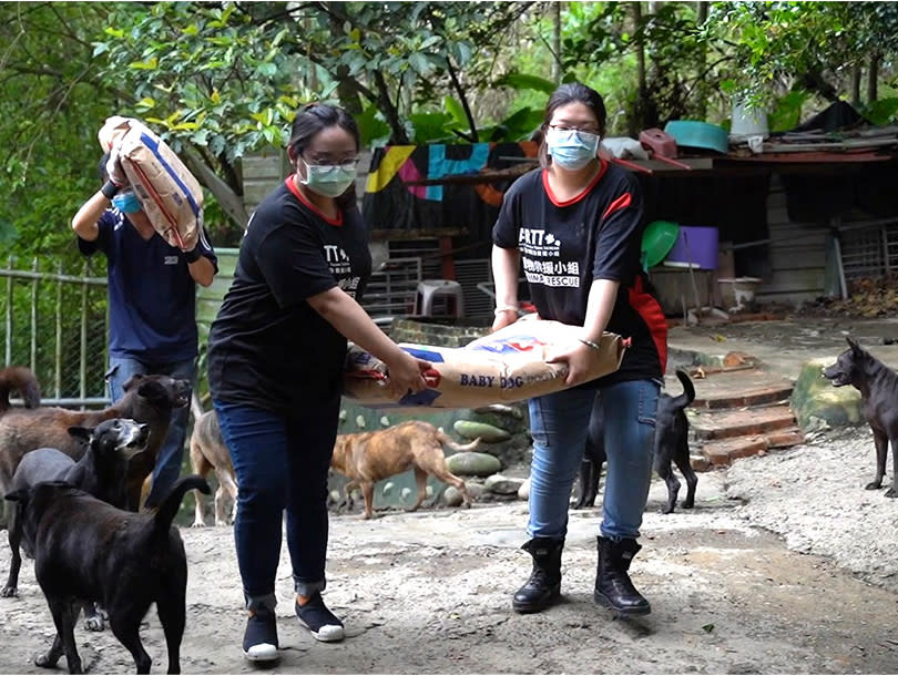 台灣動物緊急救援小組透過合法勸募，幫助全台超過150個貓狗園區