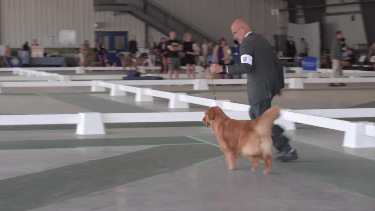 American Kennel Club dog show returns to Missoula