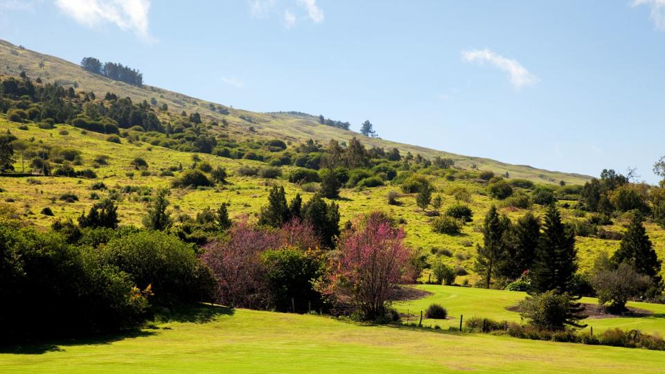 Beautiful landscape of upcountry Maui