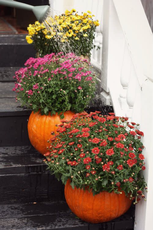 Pumpkin Planters