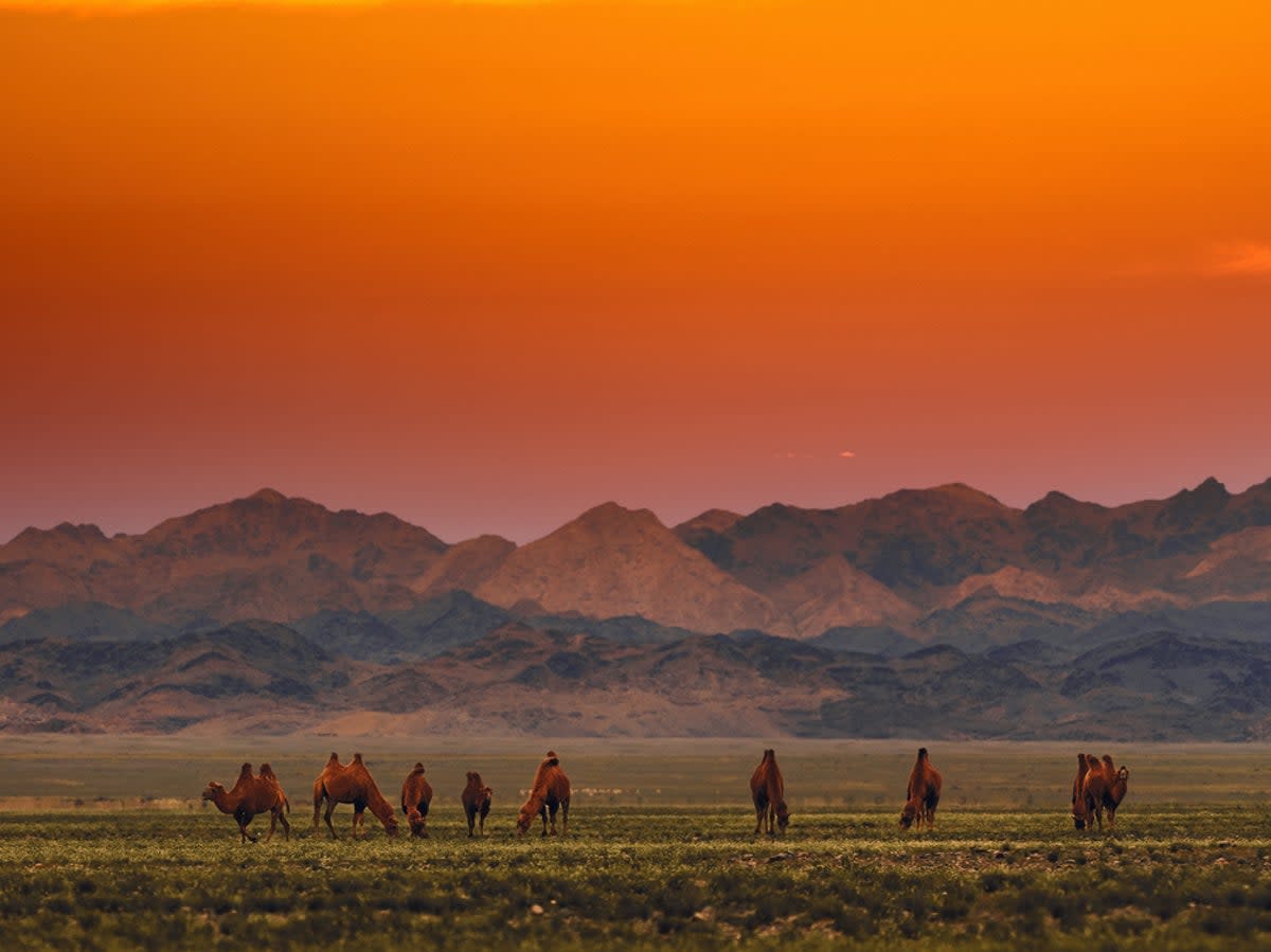 Topping the list of the 10 best countries to visit is Mongolia   (Getty Images)