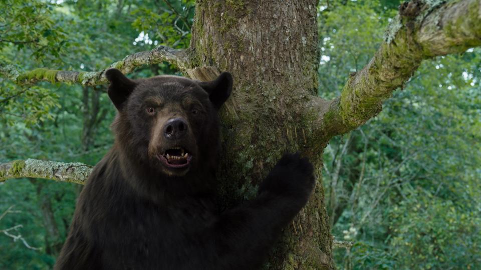 Directed by Elizabeth Banks and inspired by a true story, the dark comedy "Cocaine Bear" centers on a black bear that consumes a duffel bag full of cocaine and begins a killer rampage on a small Georgia town.